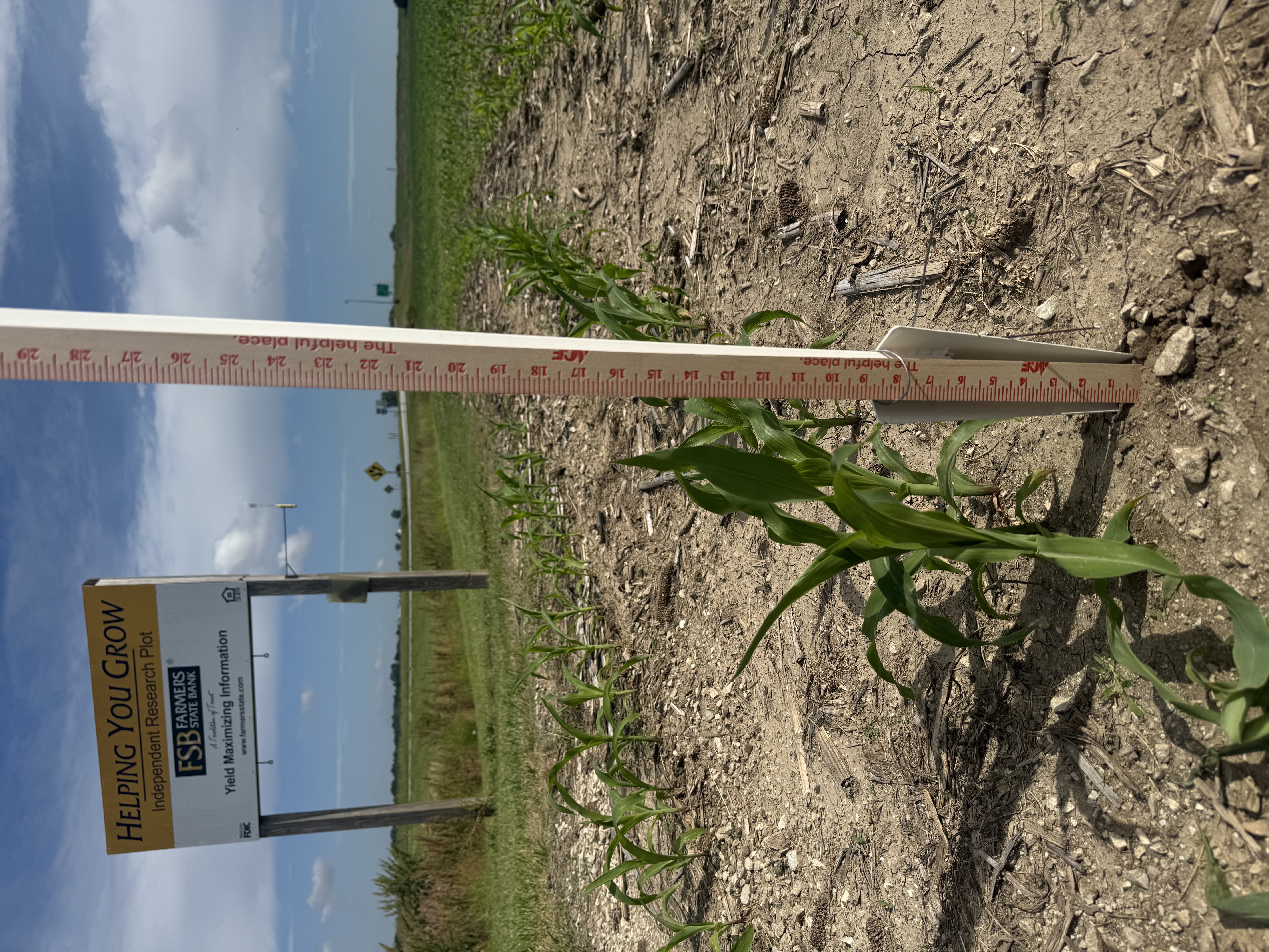 Research Plot Update